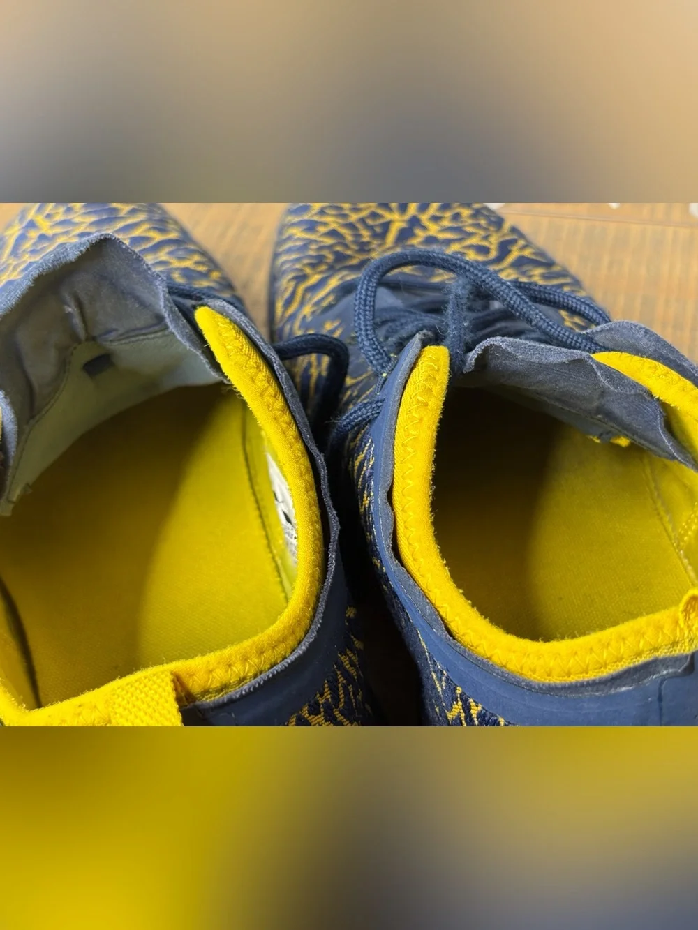 Jordan Trainer 1 Low Michigan Wolverines Mens Size 13 College Navy Yellow GUC